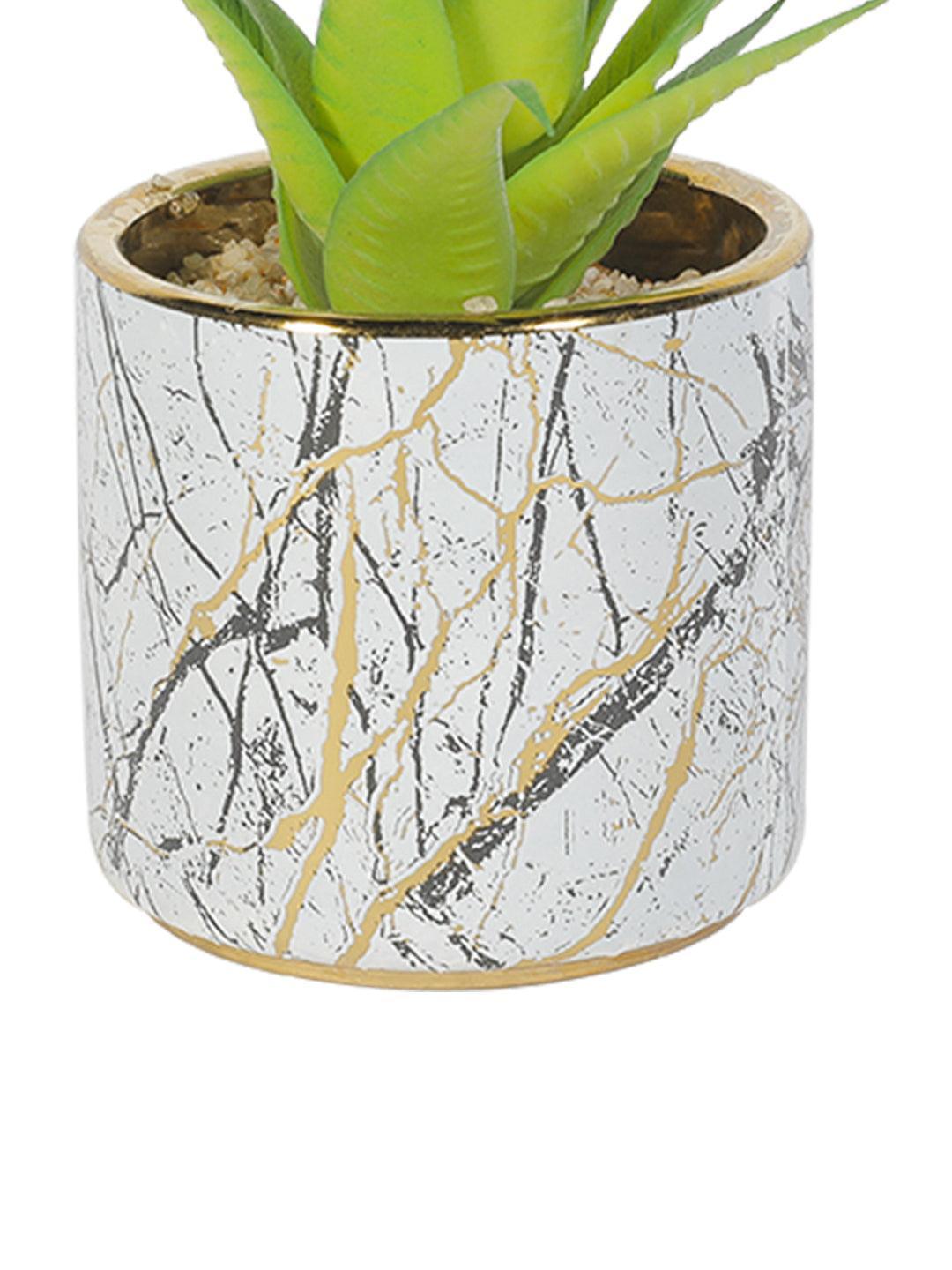 Market99 Fake Aloevera Desktop Planter - MARKET 99