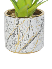Market99 Fake Aloevera Desktop Planter - MARKET 99