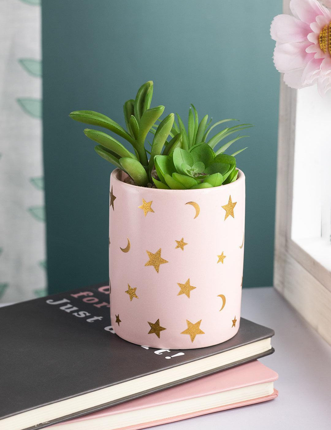 Market99 Fake Aloevera Planter Pot - MARKET 99