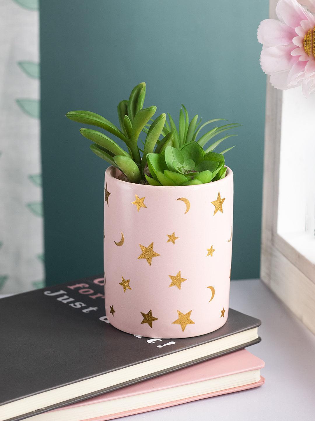 Market99 Fake Aloevera Planter Pot - MARKET 99