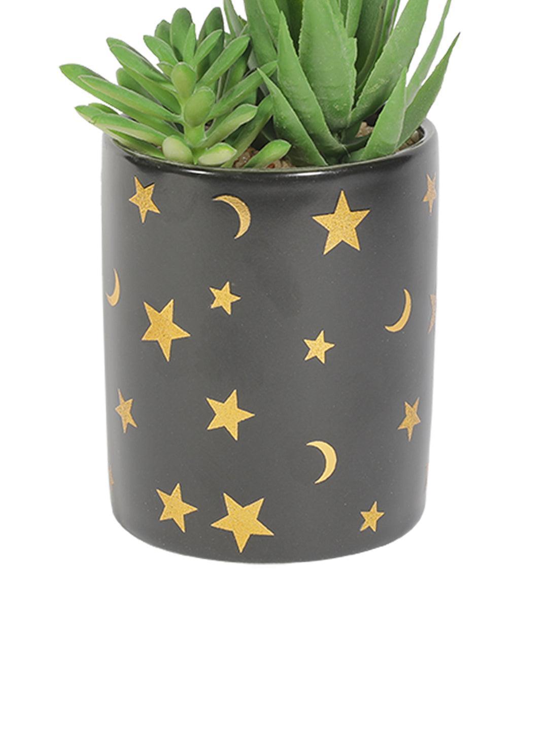Market99 Fake Aloevera Planter Pot - MARKET 99