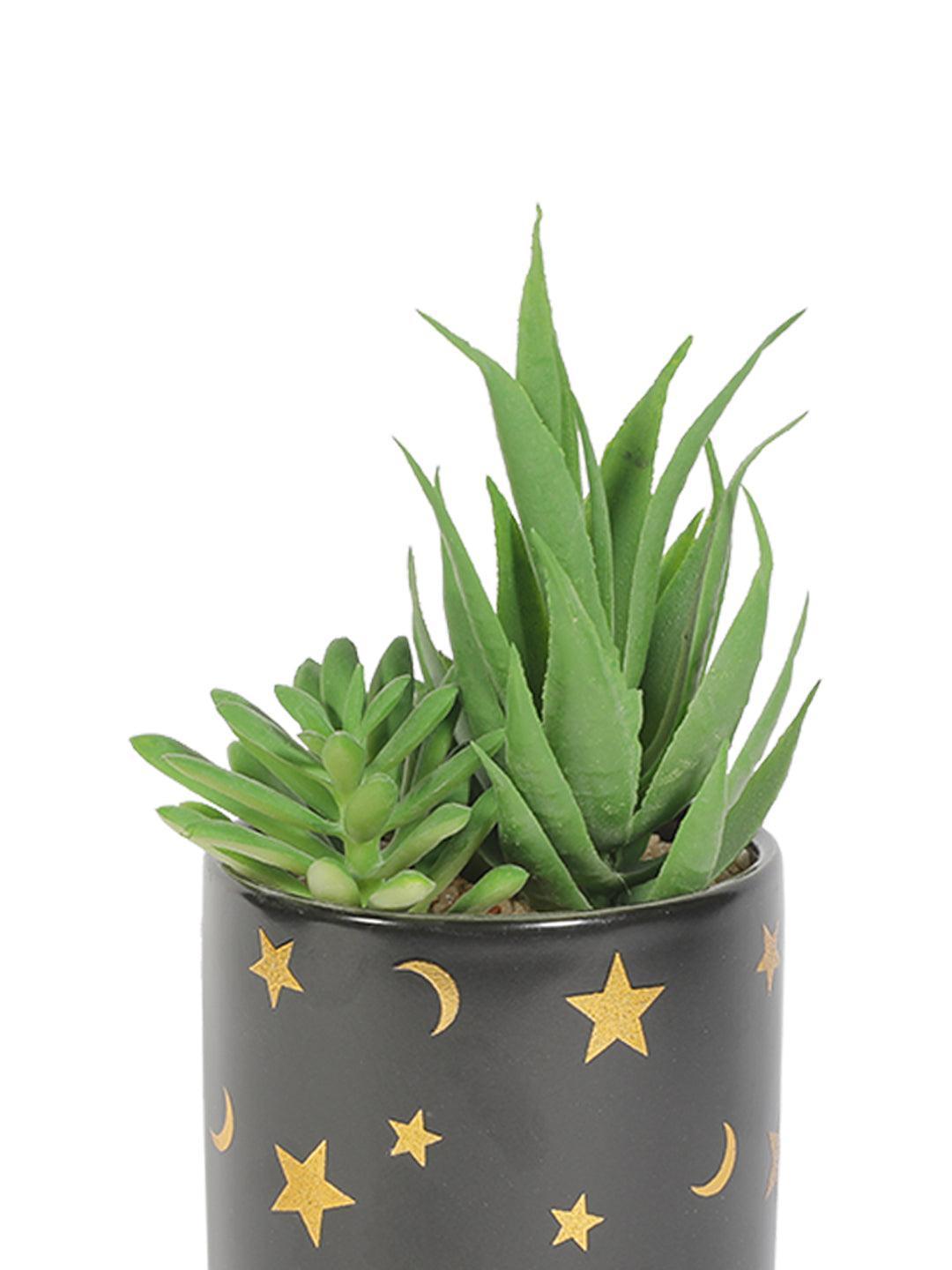 Market99 Fake Aloevera Planter Pot - MARKET 99