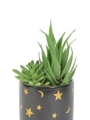 Market99 Fake Aloevera Planter Pot - MARKET 99