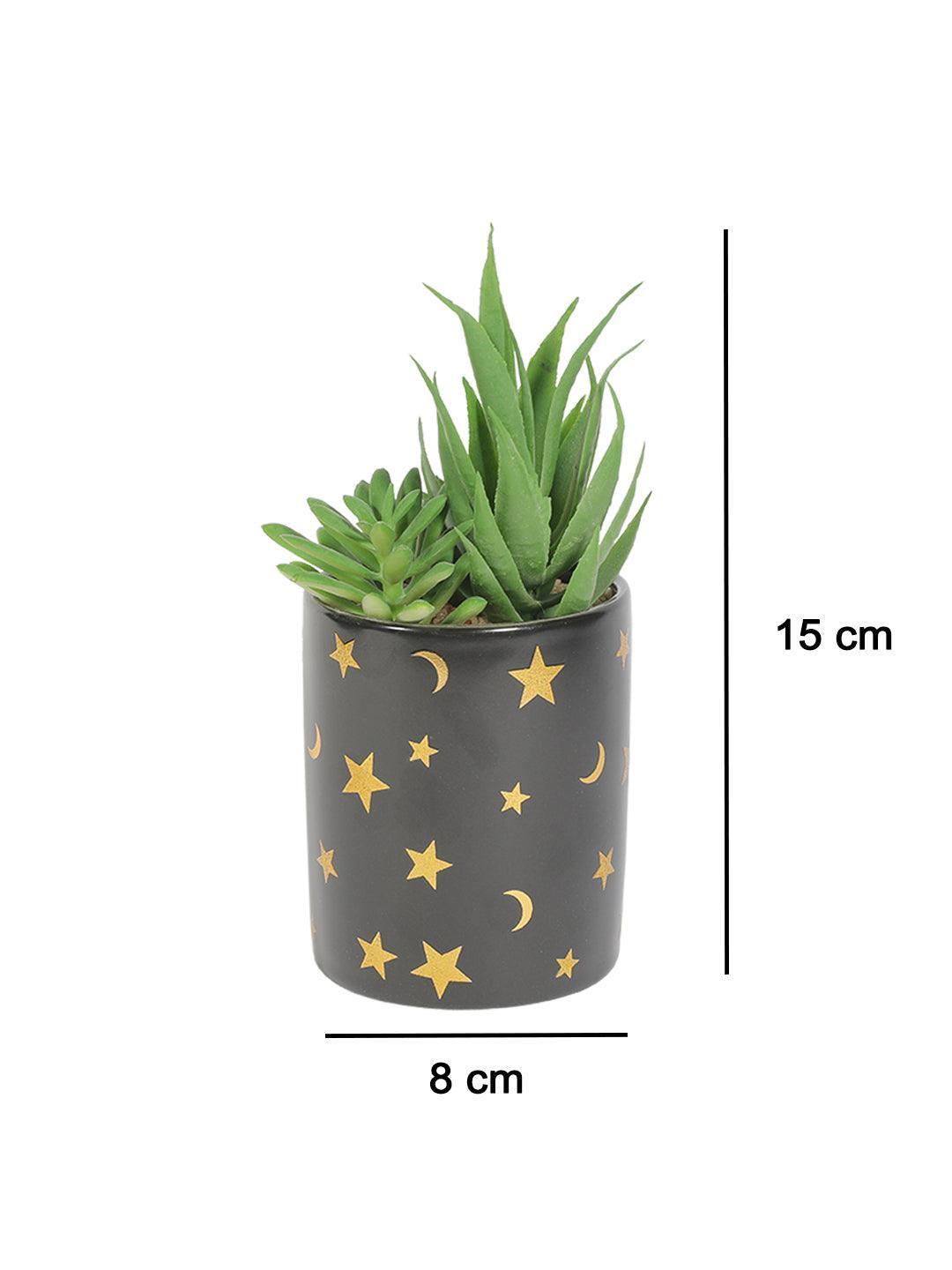 Market99 Fake Aloevera Planter Pot - MARKET 99