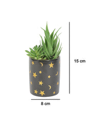 Market99 Fake Aloevera Planter Pot - MARKET 99