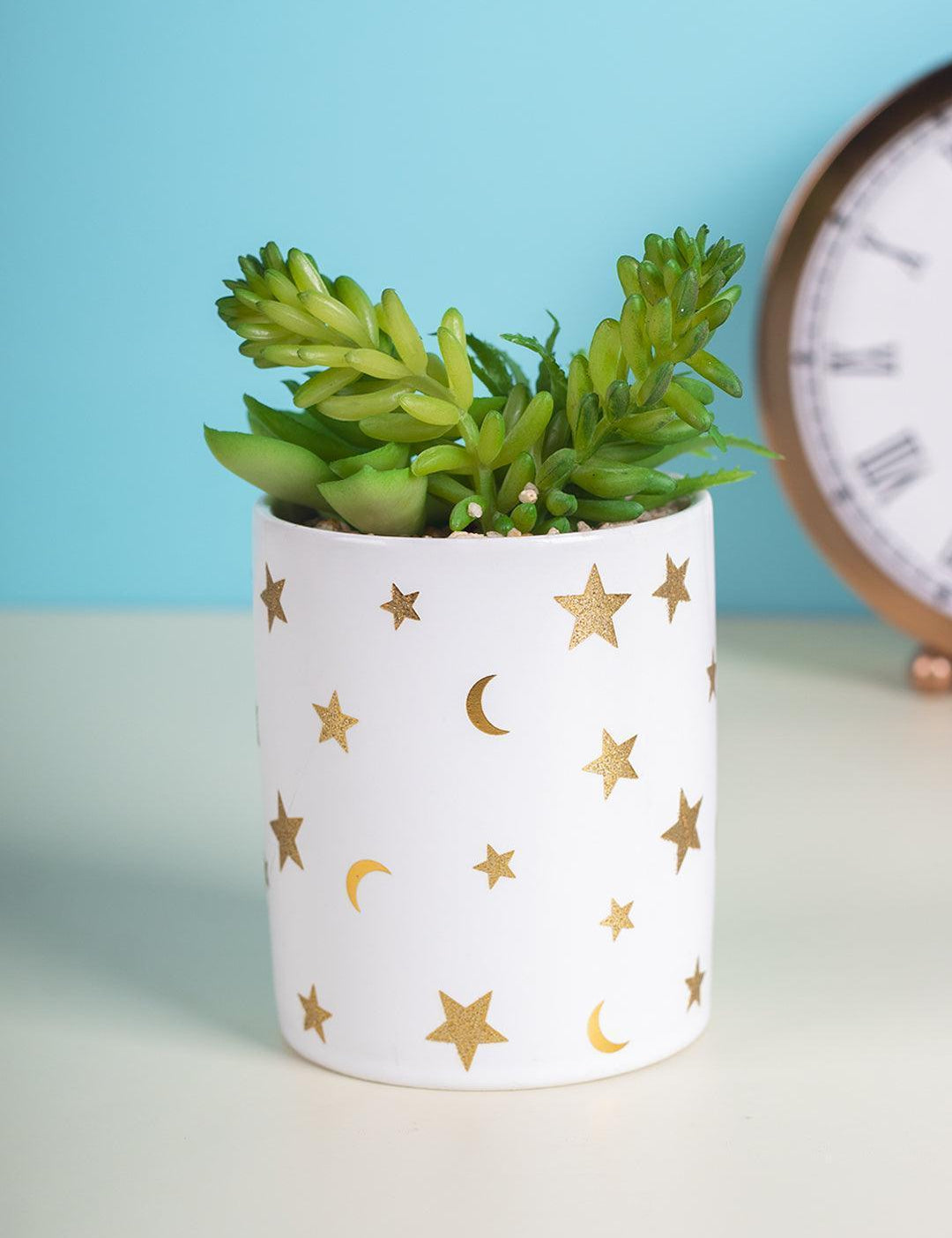 Market99 Fake Aloevera Planter Pot - MARKET 99