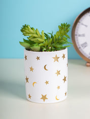 Market99 Fake Aloevera Planter Pot - MARKET 99