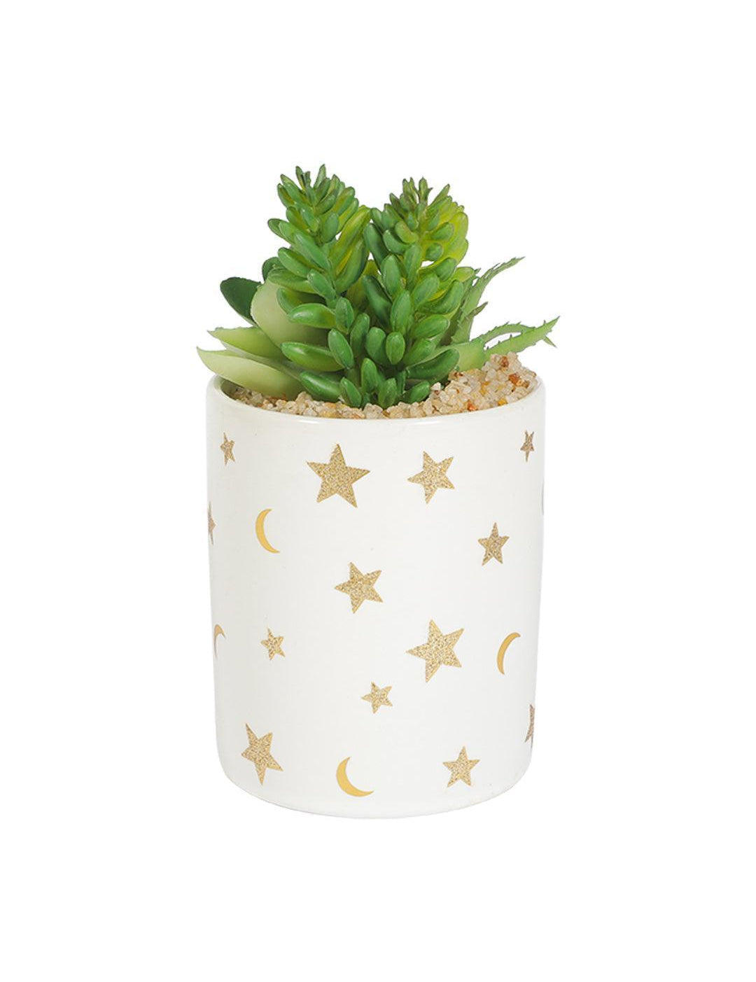 Market99 Fake Aloevera Planter Pot - MARKET 99