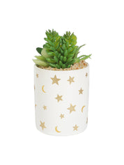 Market99 Fake Aloevera Planter Pot - MARKET 99