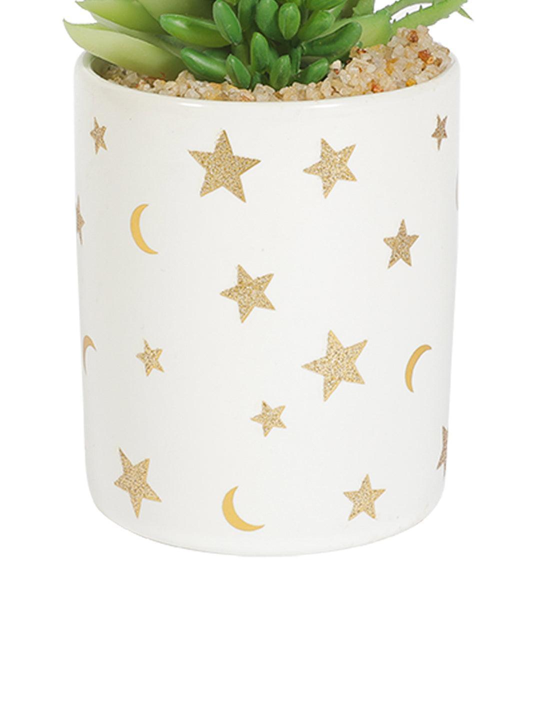 Market99 Fake Aloevera Planter Pot - MARKET 99