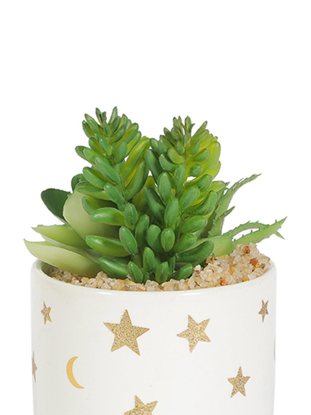 Market99 Fake Aloevera Planter Pot - MARKET 99