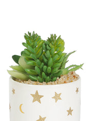 Market99 Fake Aloevera Planter Pot - MARKET 99