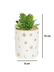 Market99 Fake Aloevera Planter Pot - MARKET 99