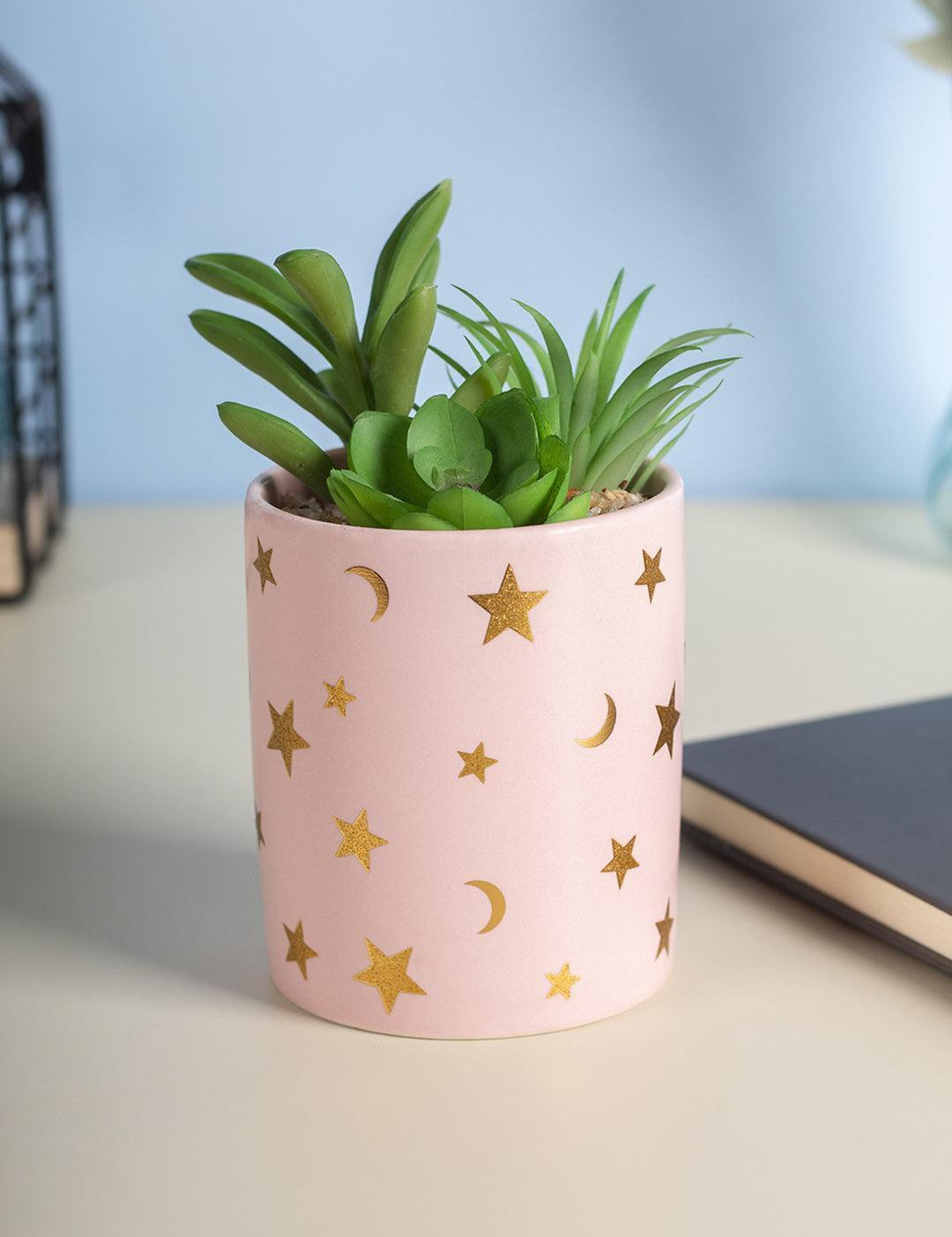Market99 Fake Aloevera Planter Pot - MARKET 99