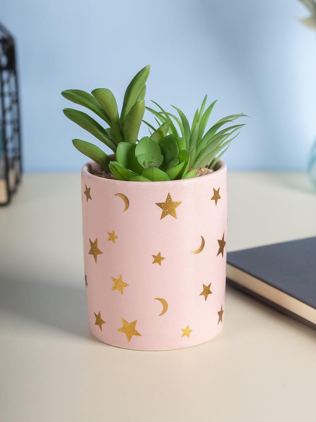 Market99 Fake Aloevera Planter Pot - MARKET 99