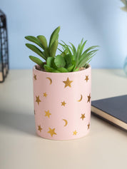 Market99 Fake Aloevera Planter Pot - MARKET 99