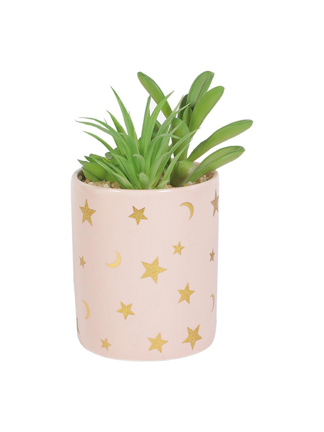 Market99 Fake Aloevera Planter Pot - MARKET 99