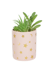 Market99 Fake Aloevera Planter Pot - MARKET 99
