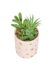 Market99 Fake Aloevera Planter Pot - MARKET 99