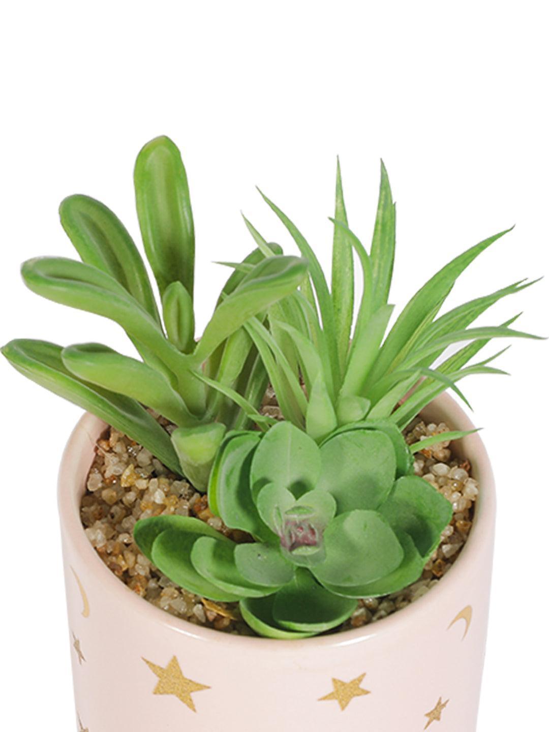 Market99 Fake Aloevera Planter Pot - MARKET 99