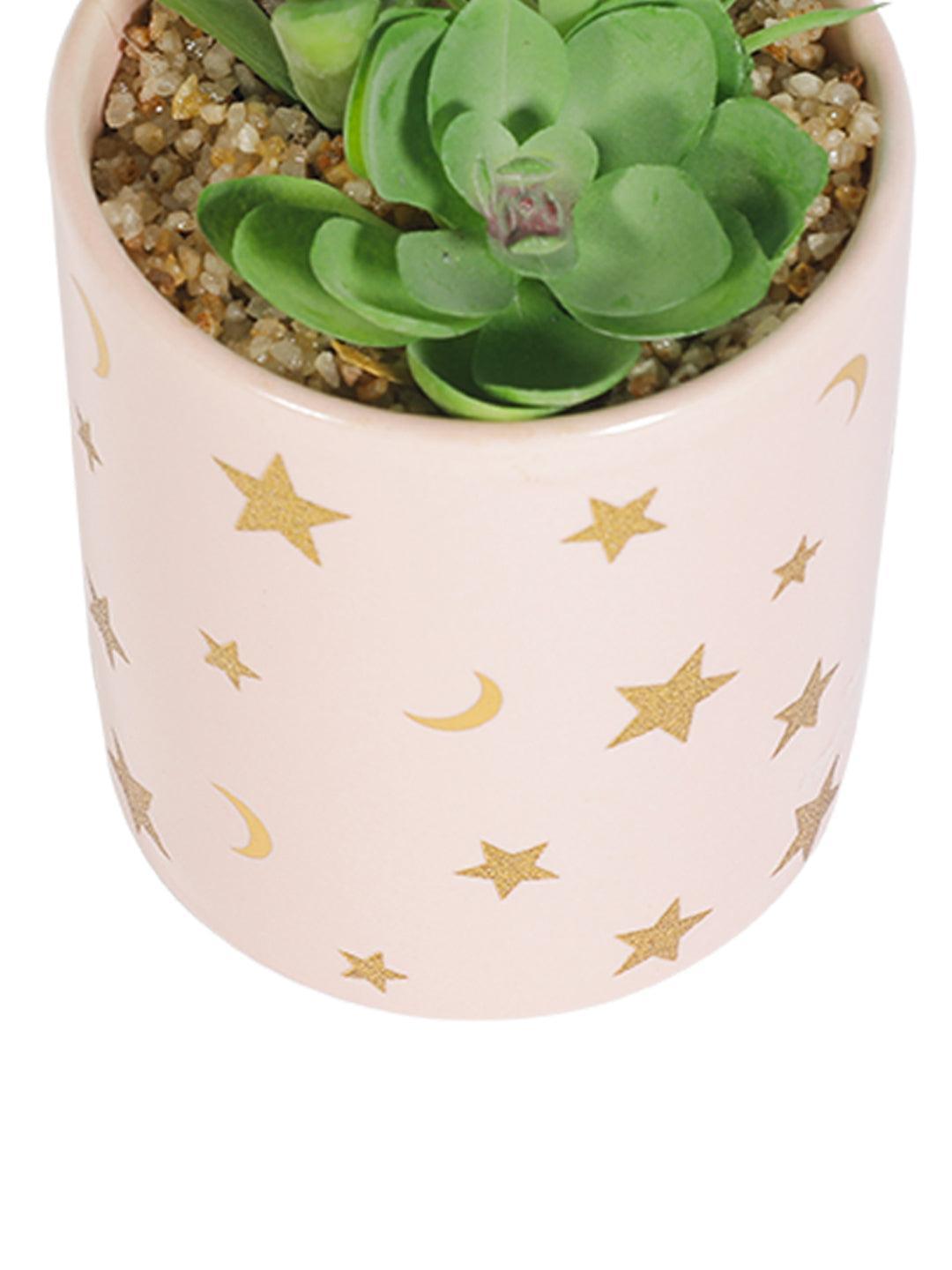 Market99 Fake Aloevera Planter Pot - MARKET 99