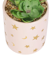 Market99 Fake Aloevera Planter Pot - MARKET 99