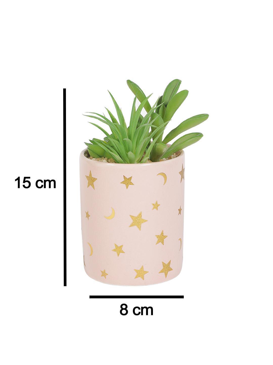 Market99 Fake Aloevera Planter Pot - MARKET 99