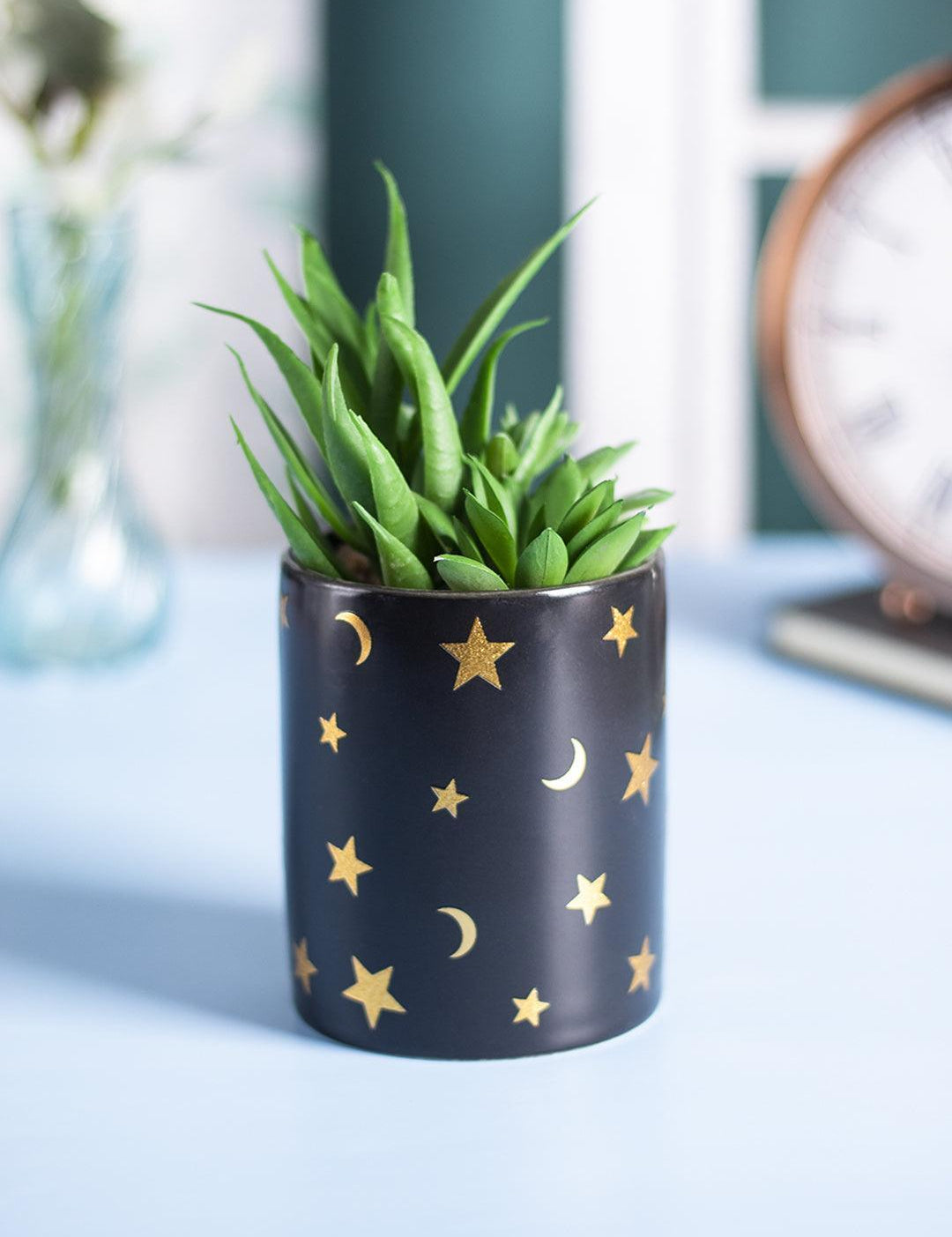 Market99 Fake Aloevera Planter Pot - MARKET 99