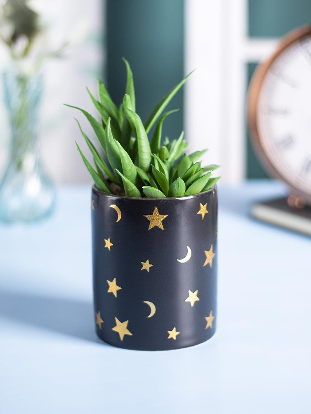 Market99 Fake Aloevera Planter Pot - MARKET 99
