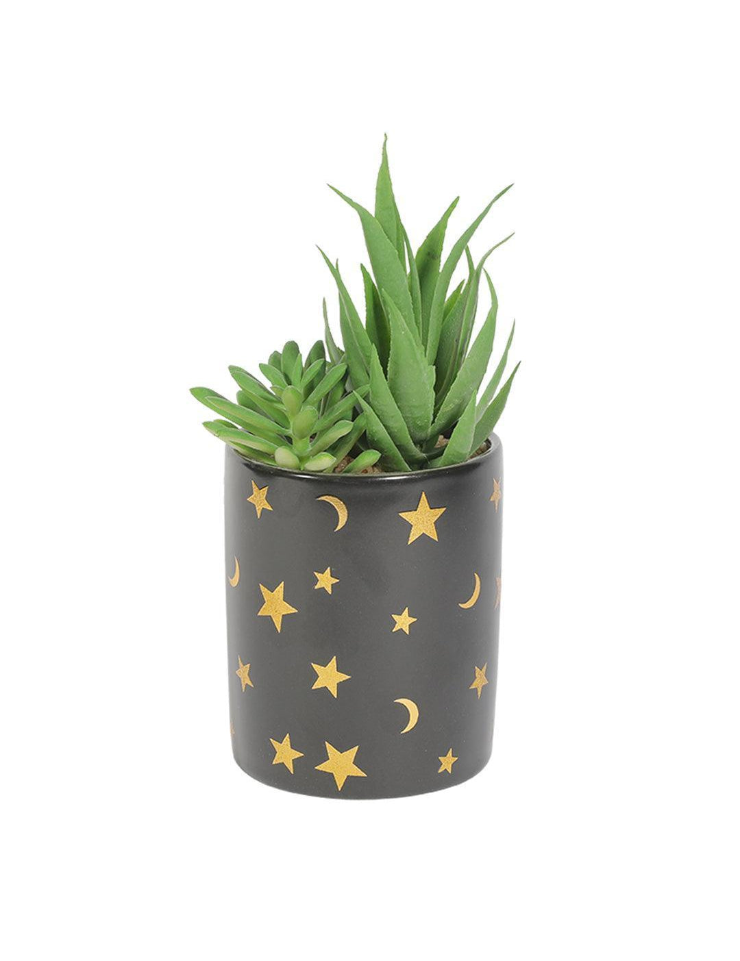Market99 Fake Aloevera Planter Pot - MARKET 99