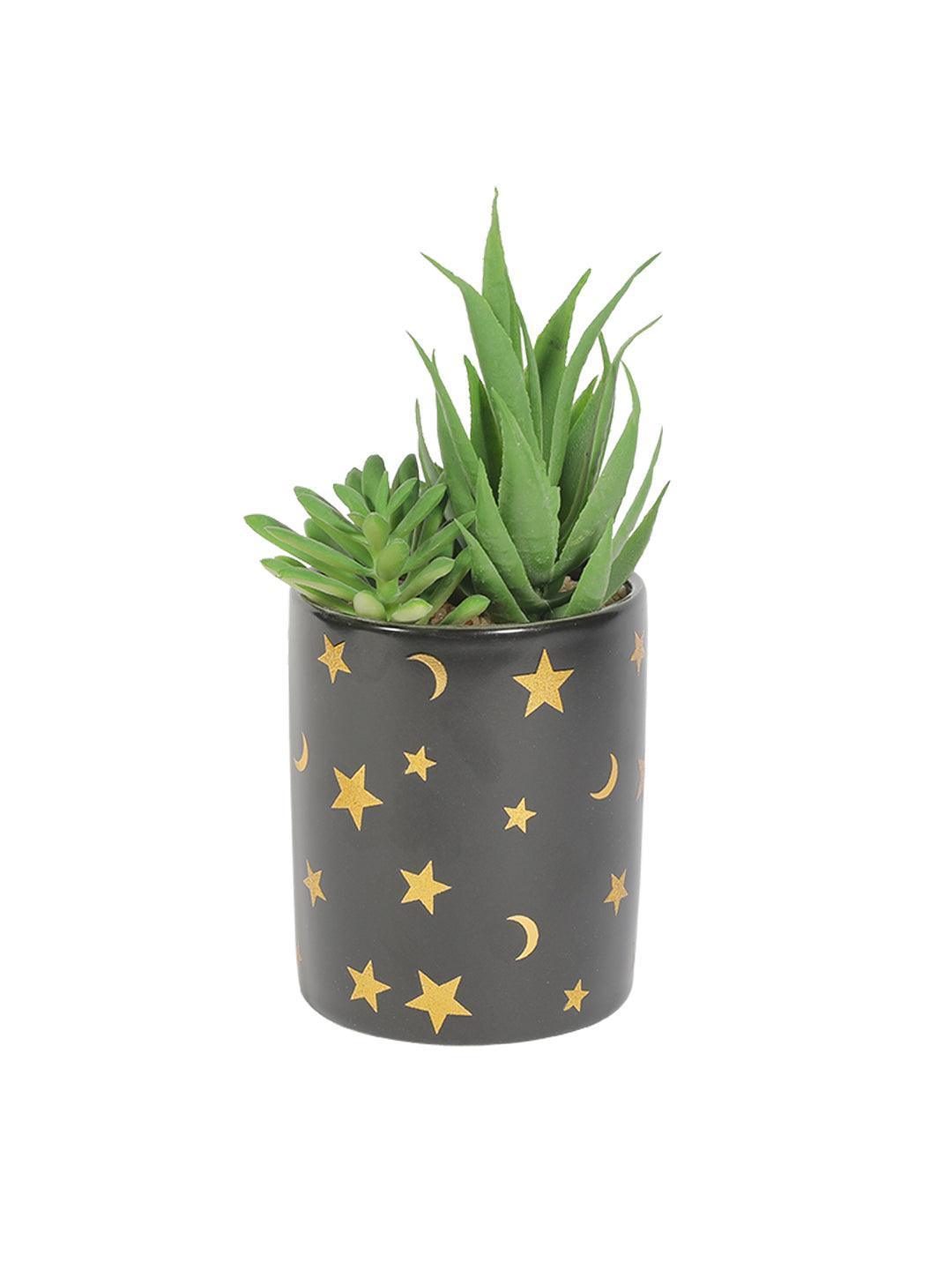 Market99 Fake Aloevera Planter Pot - MARKET 99