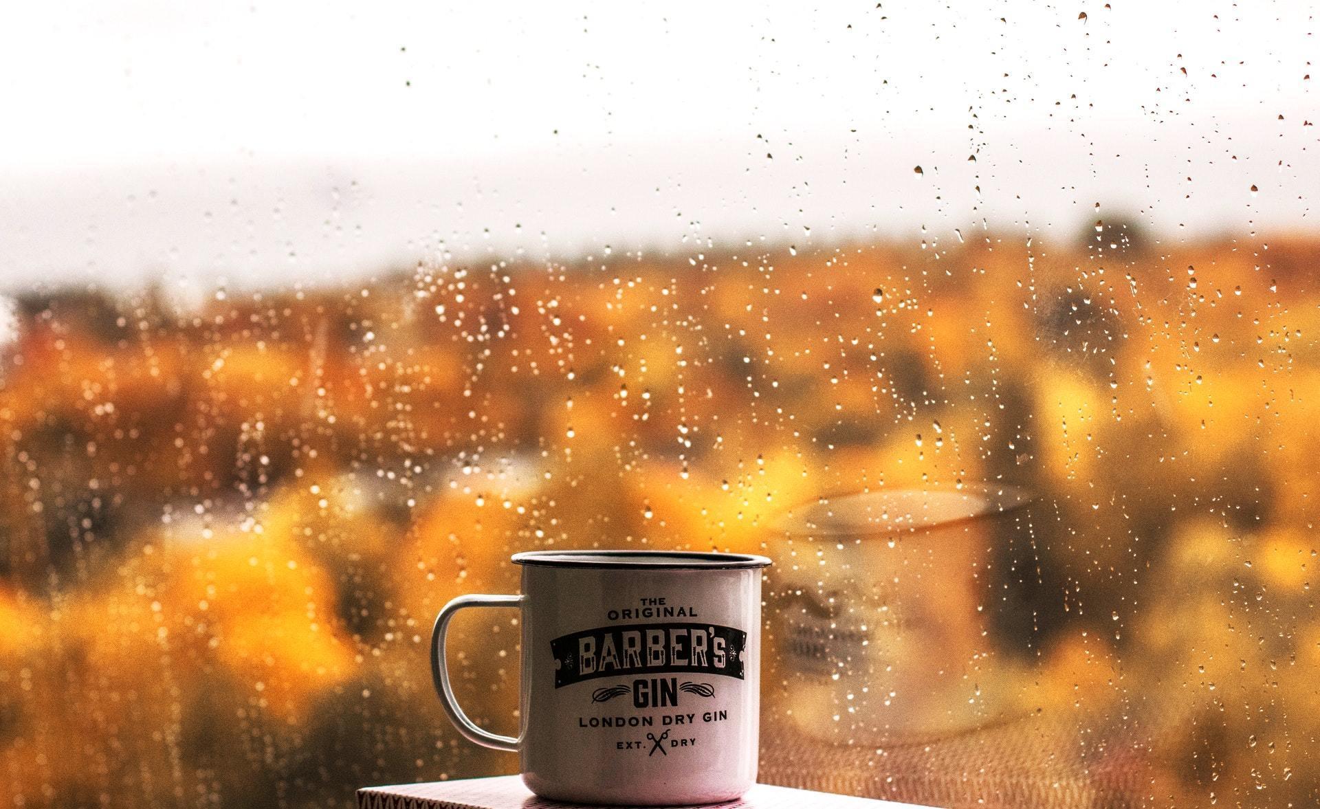 7 Market 99 Products To Be Monsoon Ready - MARKET 99
