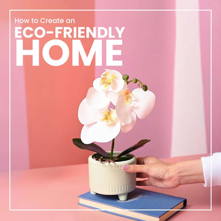 How to Create an Eco-Friendly Home