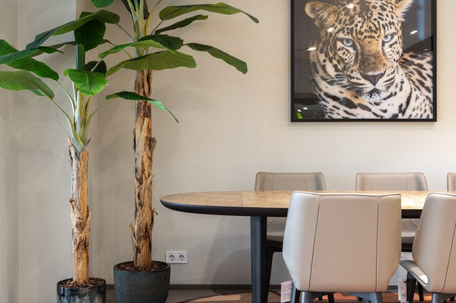 Home Décor Hacks For Every Room - MARKET 99