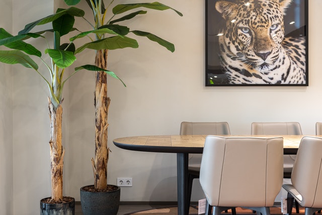 Home Décor Hacks For Every Room - MARKET 99