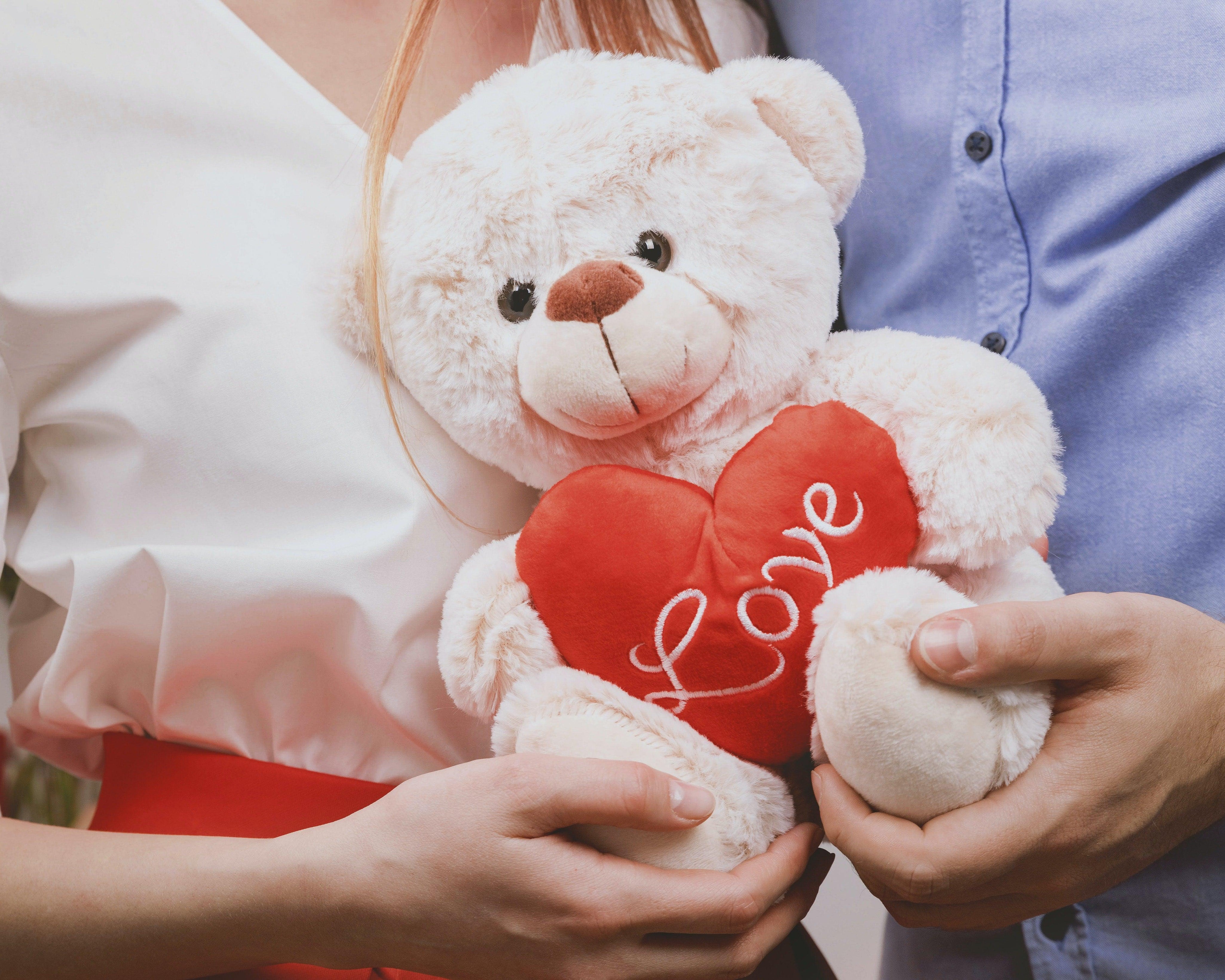 Valentine Teddy Dat 2023 Gift Idea