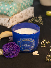 3 Wick Sea Breeze Candle 250G - MARKET 99