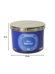 3 Wick Sea Breeze Candle 250G - MARKET 99