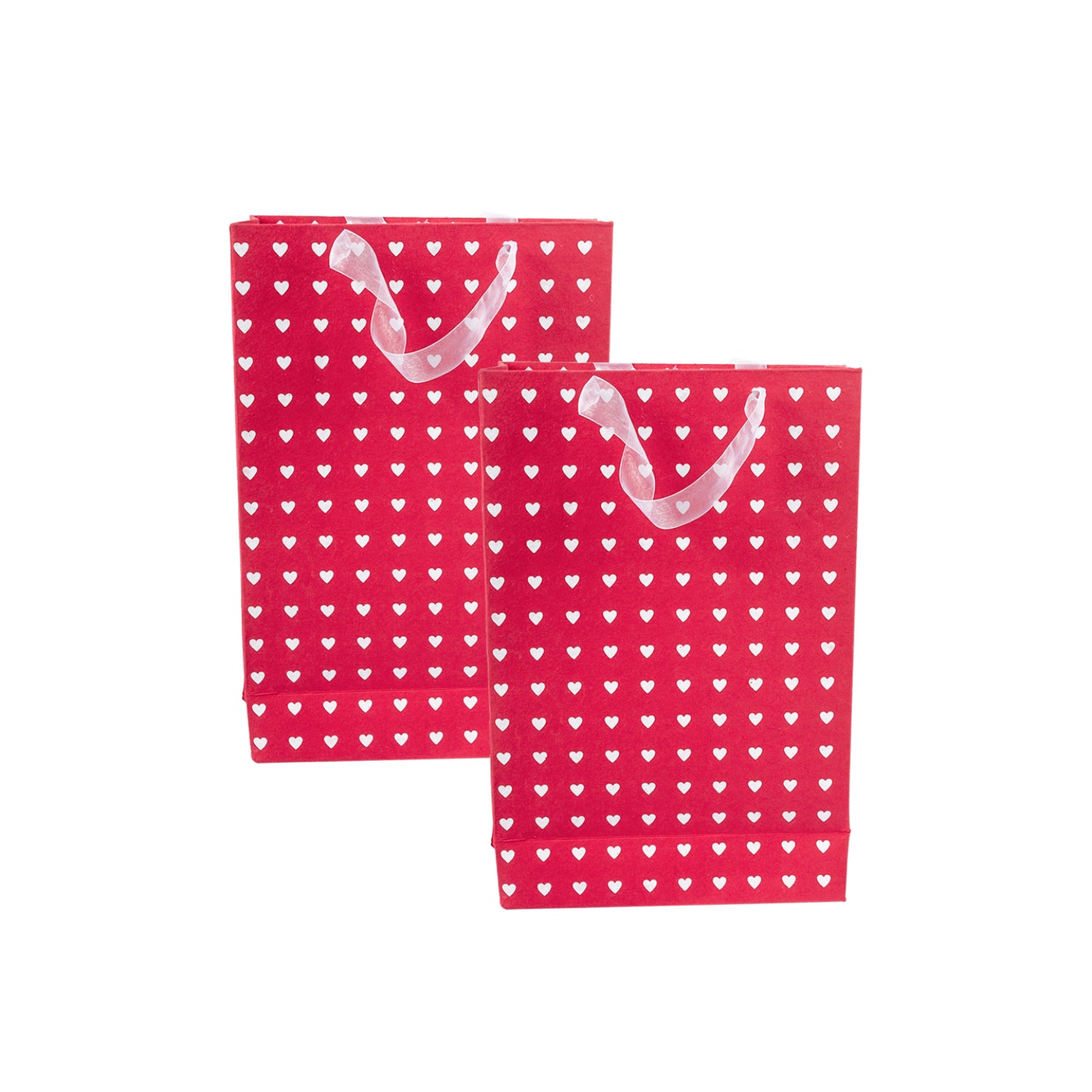 Large Valentine Gift Bag