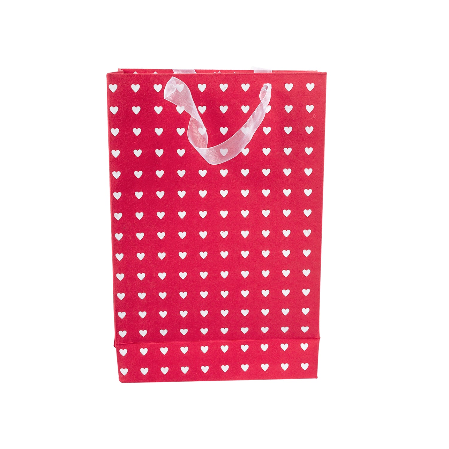 Large Valentine Gift Bag