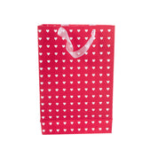 Large Valentine Gift Bag