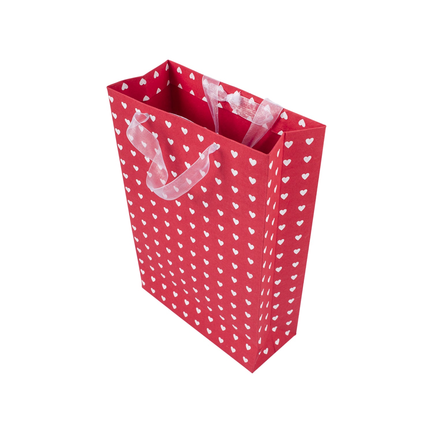 Large Valentine Gift Bag