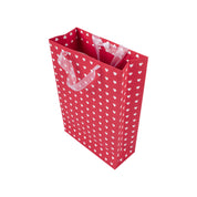 Large Valentine Gift Bag