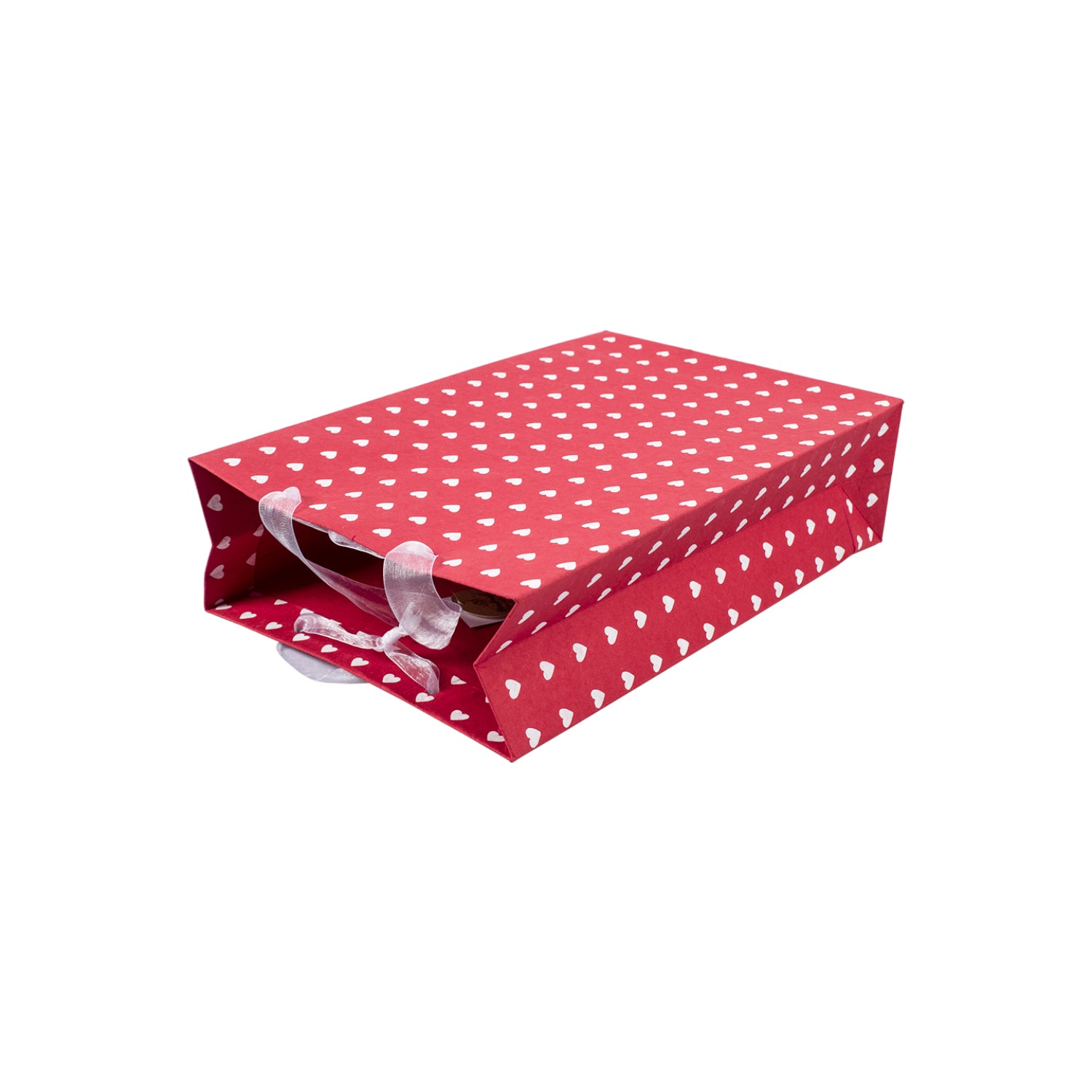 Large Valentine Gift Bag