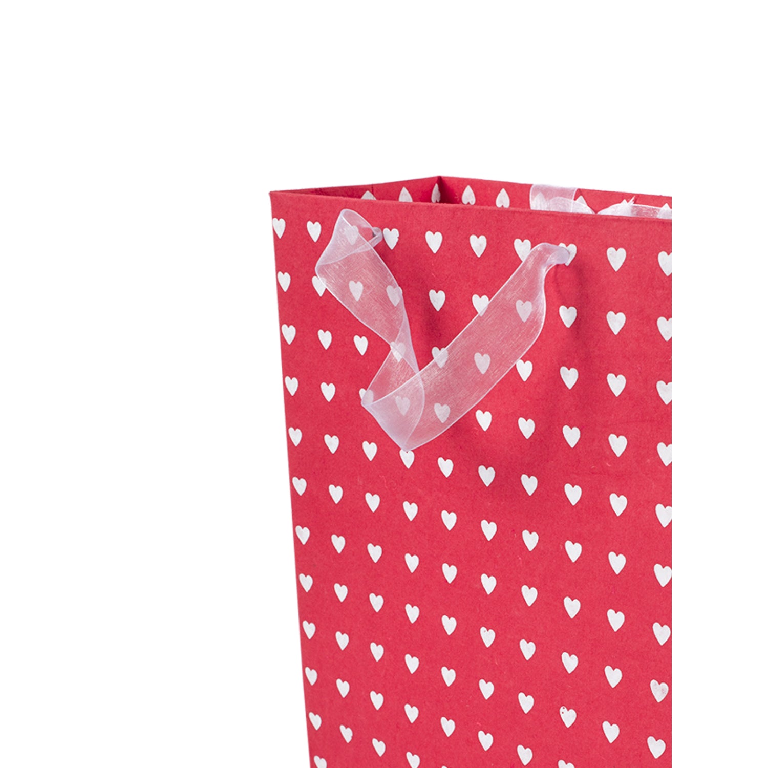Large Valentine Gift Bag