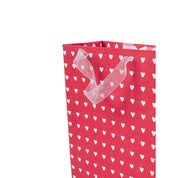 Large Valentine Gift Bag