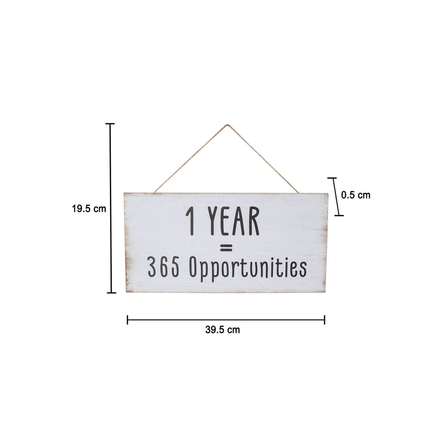 1 YEAR = 365 Opportunities - Wall Hanging Plaque