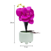 Stylish Purple Artificial Flower With Pot - 10 X 10 X 34Cm