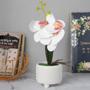 Stylish White Artificial Flowers With Pot - 10 X 10 X 34Cm