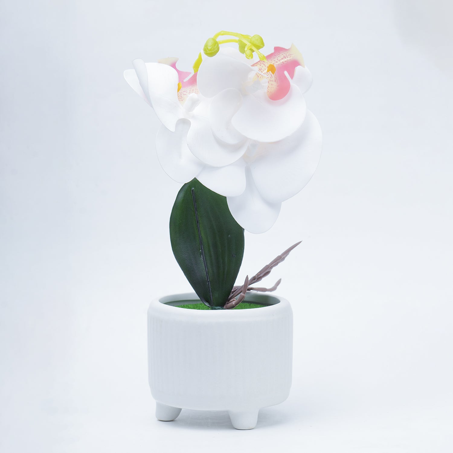 Stylish White Artificial Flowers With Pot - 10 X 10 X 34Cm